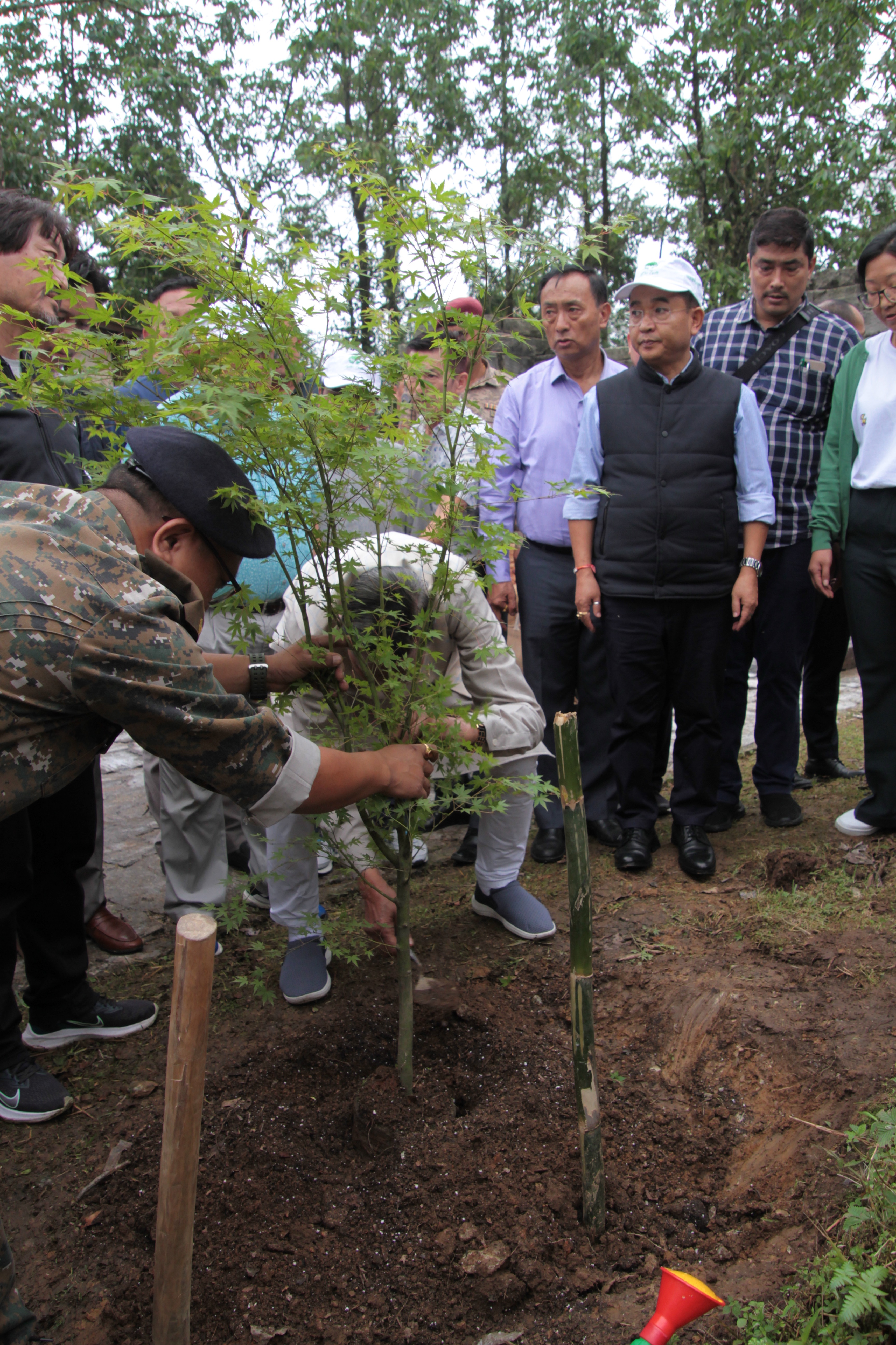 Plantation by Honble Governor
