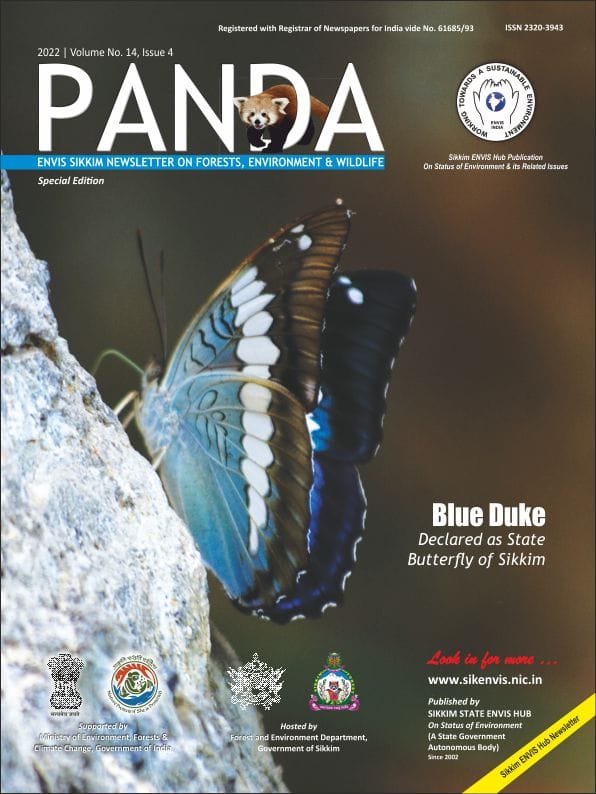 cover-PANDA 2022