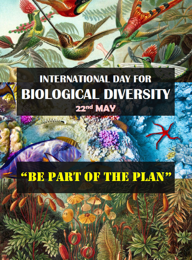 Biodiversity Day