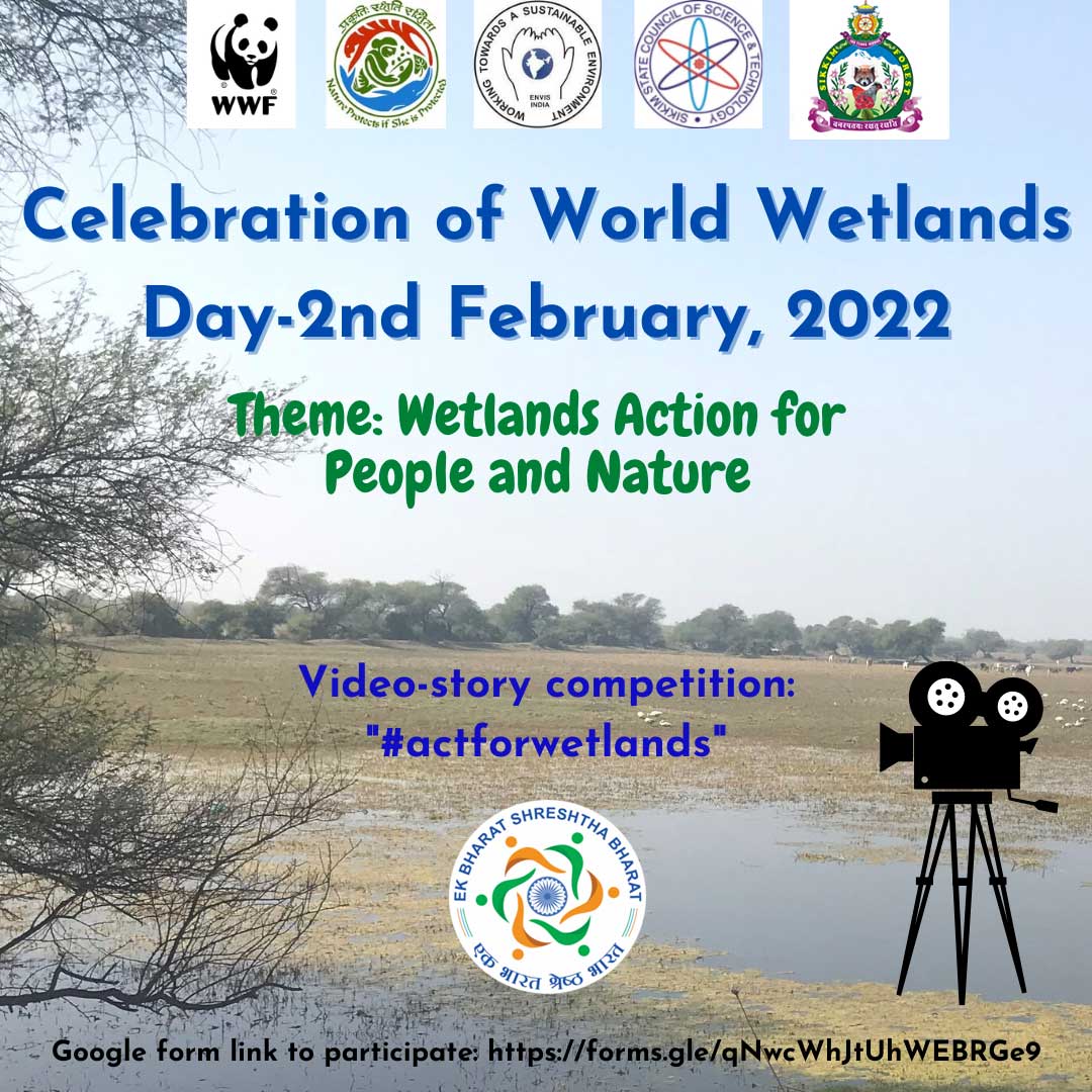 Wetlands day 2020 flyer