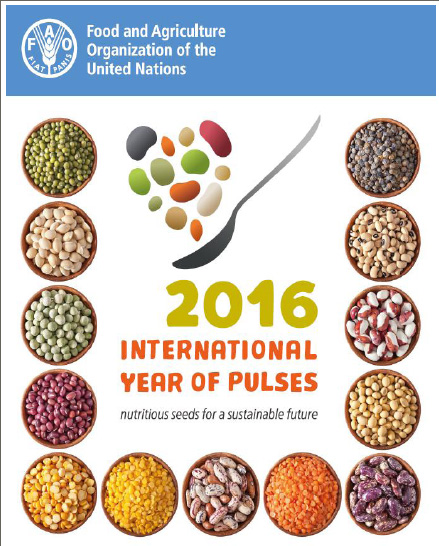 International Year of Pulses