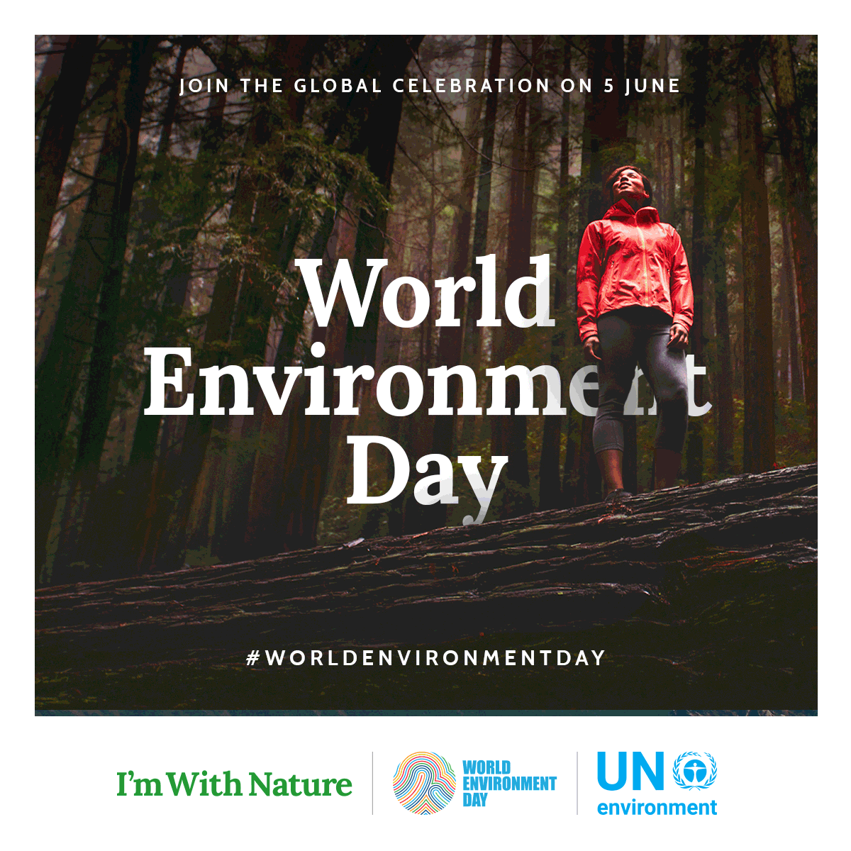 World Environment Day 2017