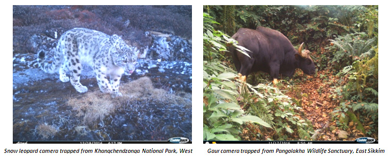Wildlife Estimation Study Sikkim