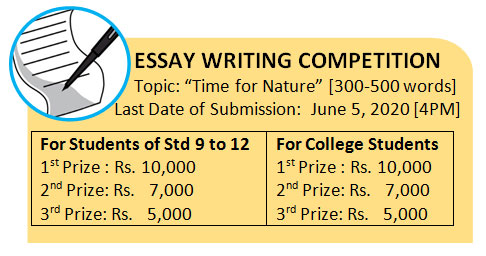essay writing competition