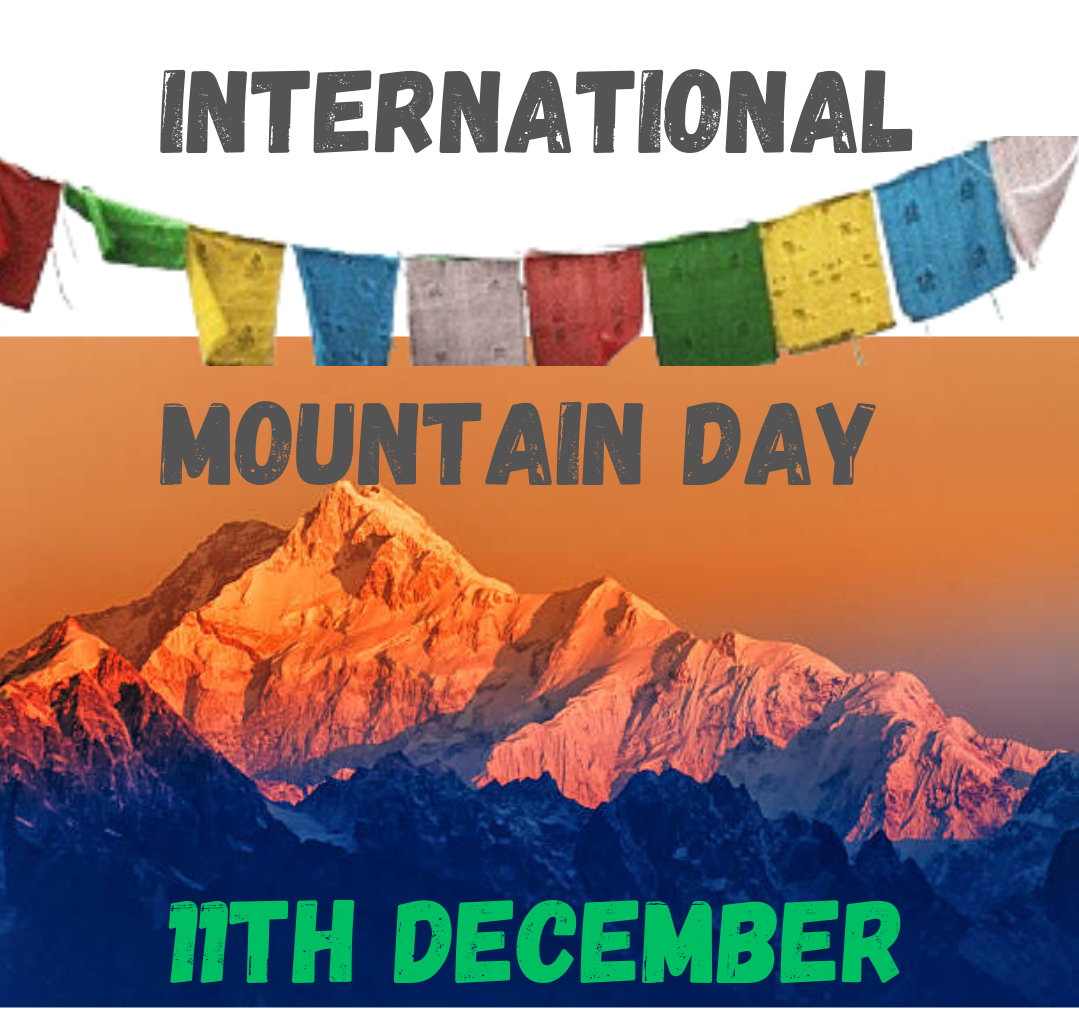 International Mountain day